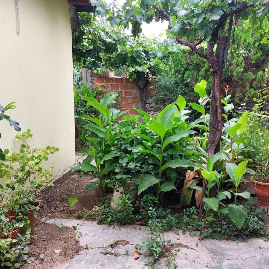 Hostal Killari Cafayate Ngoại thất bức ảnh